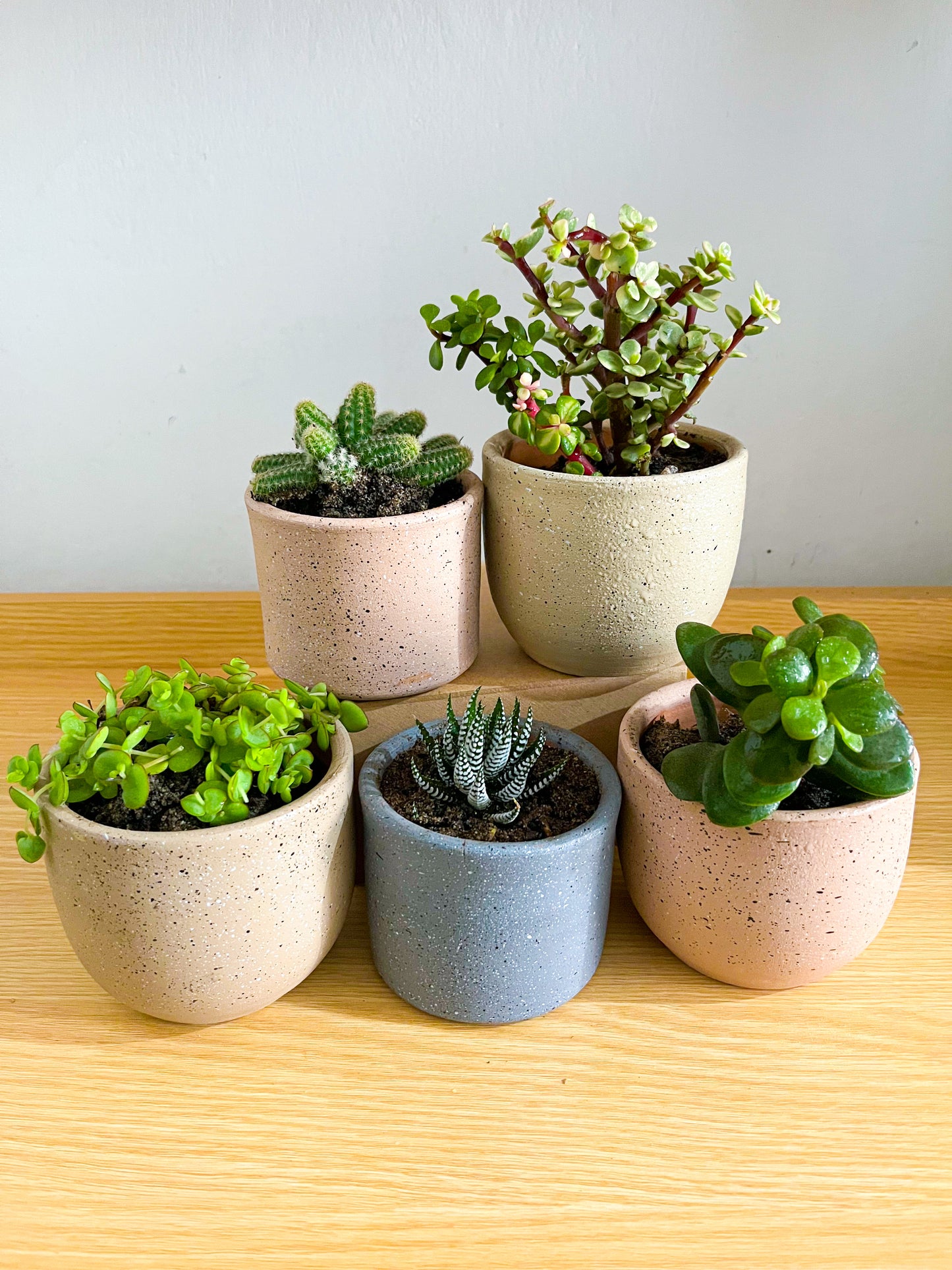 5 Pack decoración de hogar