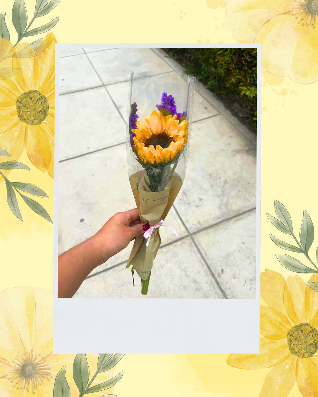 1 girasol
