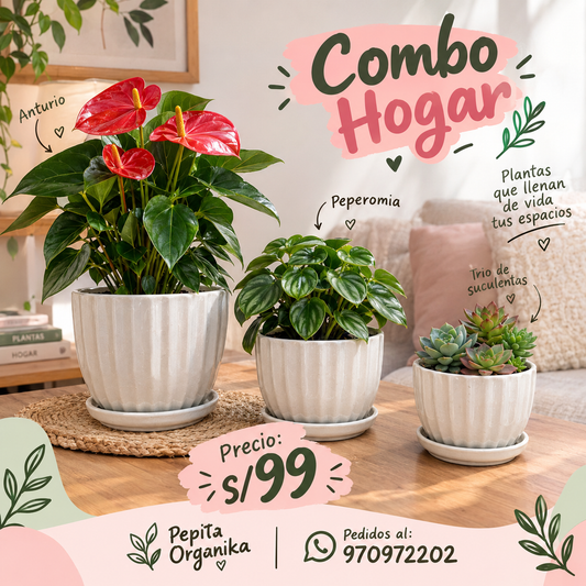 Combo hogar