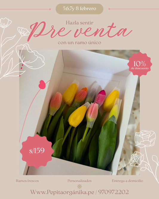 Caja de 10 tulipanes