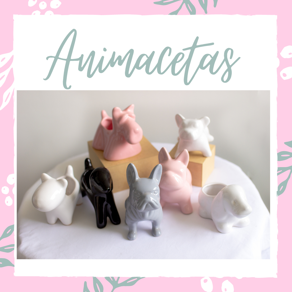 Animacetas