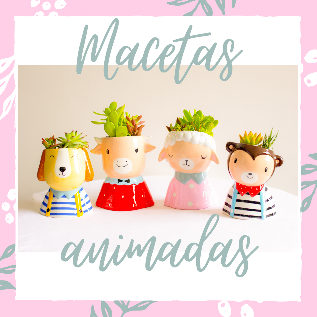 Macetas Animadas