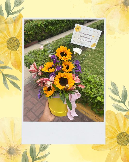 Box de 5 girasoles