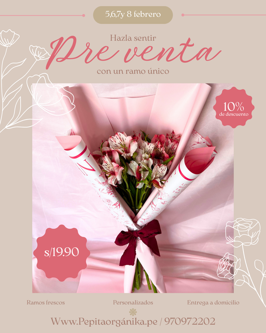 Mini ramo astromelias