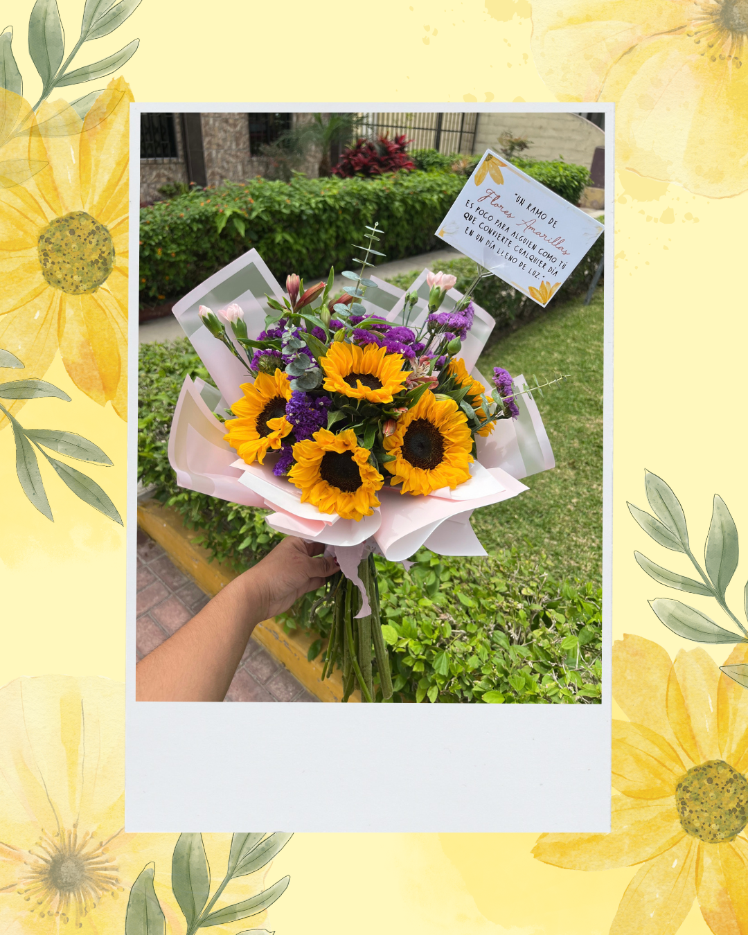 Ramo 5 girasoles promoción