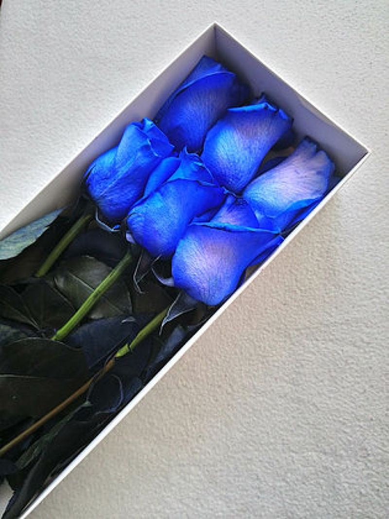 Caja de 6 rosas azules